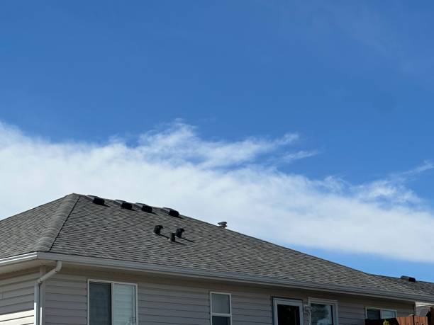 Fast & Reliable Emergency Roof Repairs in Ponderosa Park, CO